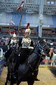 Cavalry - 00207